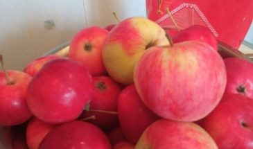 Рецепт: Домашний яблочный сок — Минимум сахара — вкусный домашний сок.