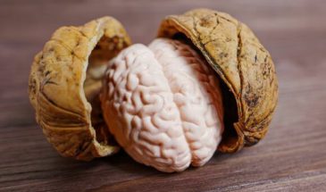 Стало известно, какие две диеты могут предотвратить болезнь Альцгеймера