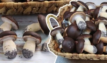 Печенье «Грибочки» из песочного теста