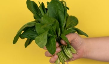 Правильный ответ знают не все: нужно ли мыть щавель и как его готовить