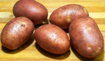 Когда нет ни хлеба, ни колбасы, ни мяса. Что готовит моя бабушка, когда до пенсии 3 дня