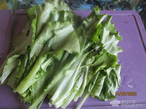 Рецепт: Салат из весенних овощей — с огорода
