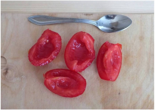 Вяленые помидоры в сушилке для овощей на зиму