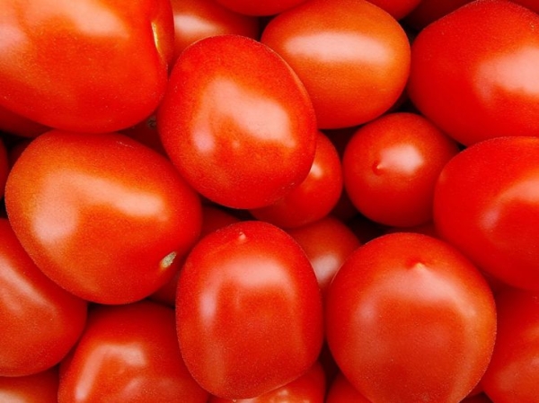 Малосольные помидоры с медовым вкусом: освежающая закуска к мясному блюду