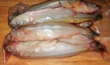 Рецепт: Корюшка, запеченная в духовке — вкусная рыбка, но на любителя