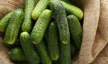 Запеченные огурцы: телеведущий Малоземов поделился рецептом необычного гарнира