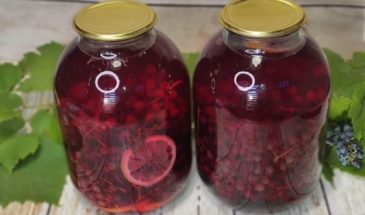 Компот из винограда без стерилизации