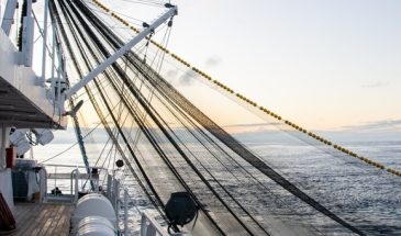 Роспотребнадзор не допустит до прилавков рыбу, зараженную водой с «Фукусимы»