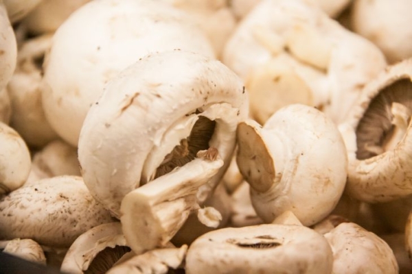 Шампиньоны в сливочном соусе на мангале: съест даже тот, кто не любит грибы