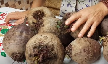 Всего 2 ингредиента и готово. Борщевая заправка из свеклы: простой рецепт