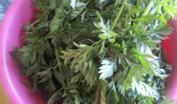 Рецепт: Зеленая паста из разной ботвы — с листьями хрена, ботвой моркови и свеклы