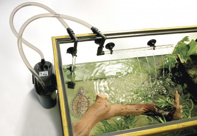 Обеспечение качества воды в аквариуме. Как это сделать правильно