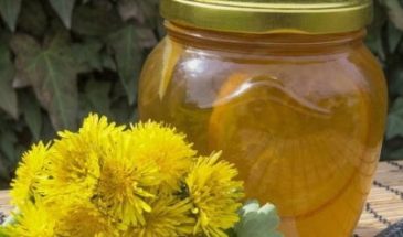 Варенье из одуванчиков в домашних условиях