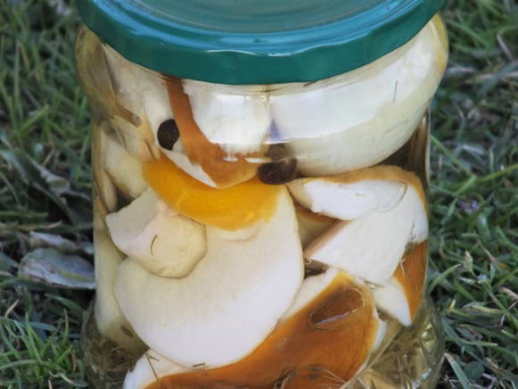 Белые грибы на зиму