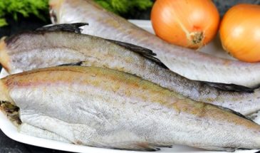 Нежный минтай с луком за 20 минут. Тает во рту и всегда нарасхват: теперь готовлю только так