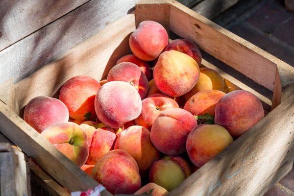 Не теряйте время и средства на неправильную покупку: как выбрать вкусные и сладкие персики