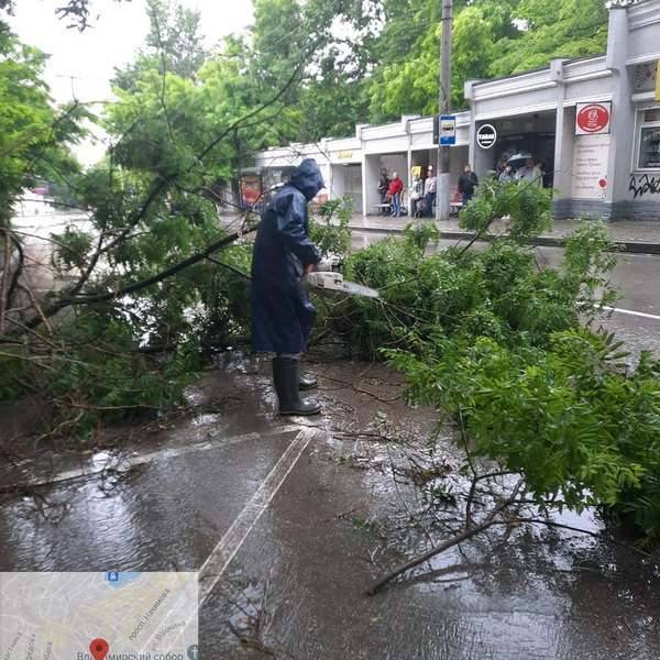 Ночной ливень не прошёл для Севастополя бесследно