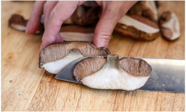 Как сушить грибы правильно