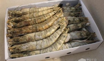 Рецепт: Тигровые креветки в духовке — в соевом соусе с чесноком