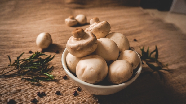 Какие грибы лучше мариновать на зиму: от их вкуса и аромата вы будете просто в восторге