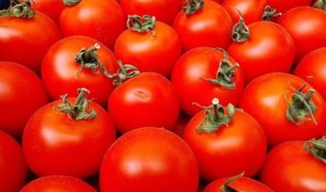Как приготовить фаршированные помидоры: 3 самых вкусных рецепта