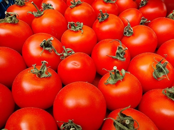 Как приготовить фаршированные помидоры: 3 самых вкусных рецепта