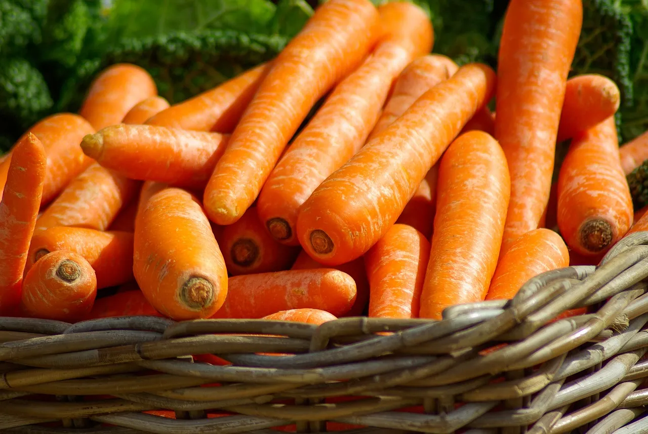 Никакого холодильника: как правильно хранить морковь – совет от ученых