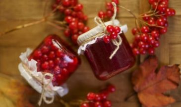 Витаминный эликсир на все случаи жизни: готовим варенье из калины по рецепту мамы Клопотенко