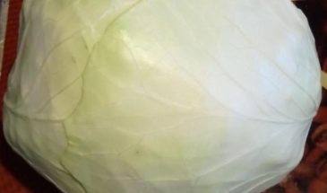 Рецепт: Голубцы домашние — Классические.