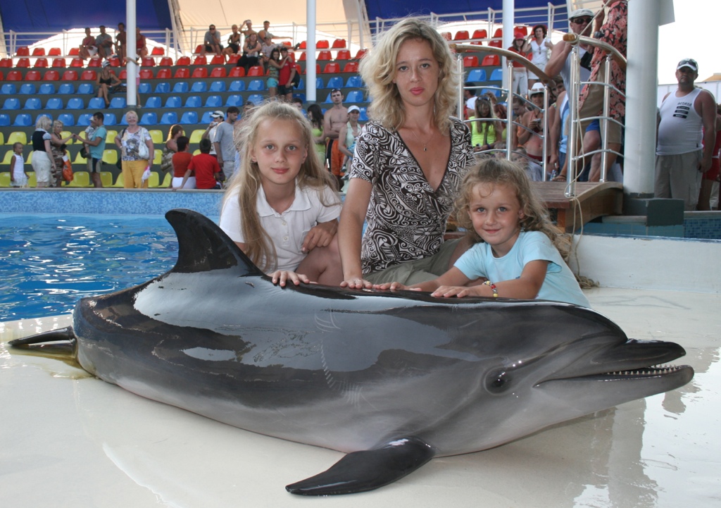 Выступление дельфинов в дельфинарии