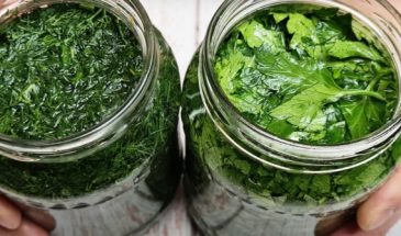 Сохраняем вкус и аромат свежей зелени. Как заготовить укроп и петрушку впрок