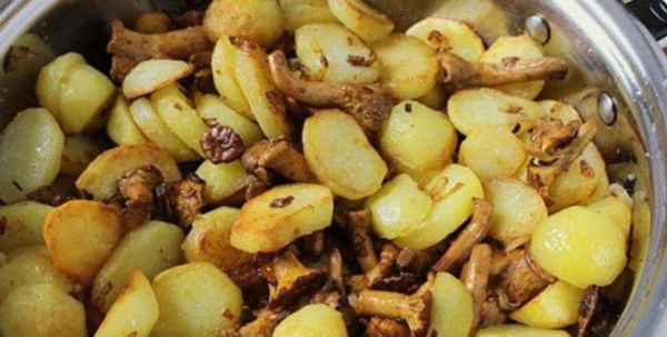 Лисички — 10 вкусных и простых блюд