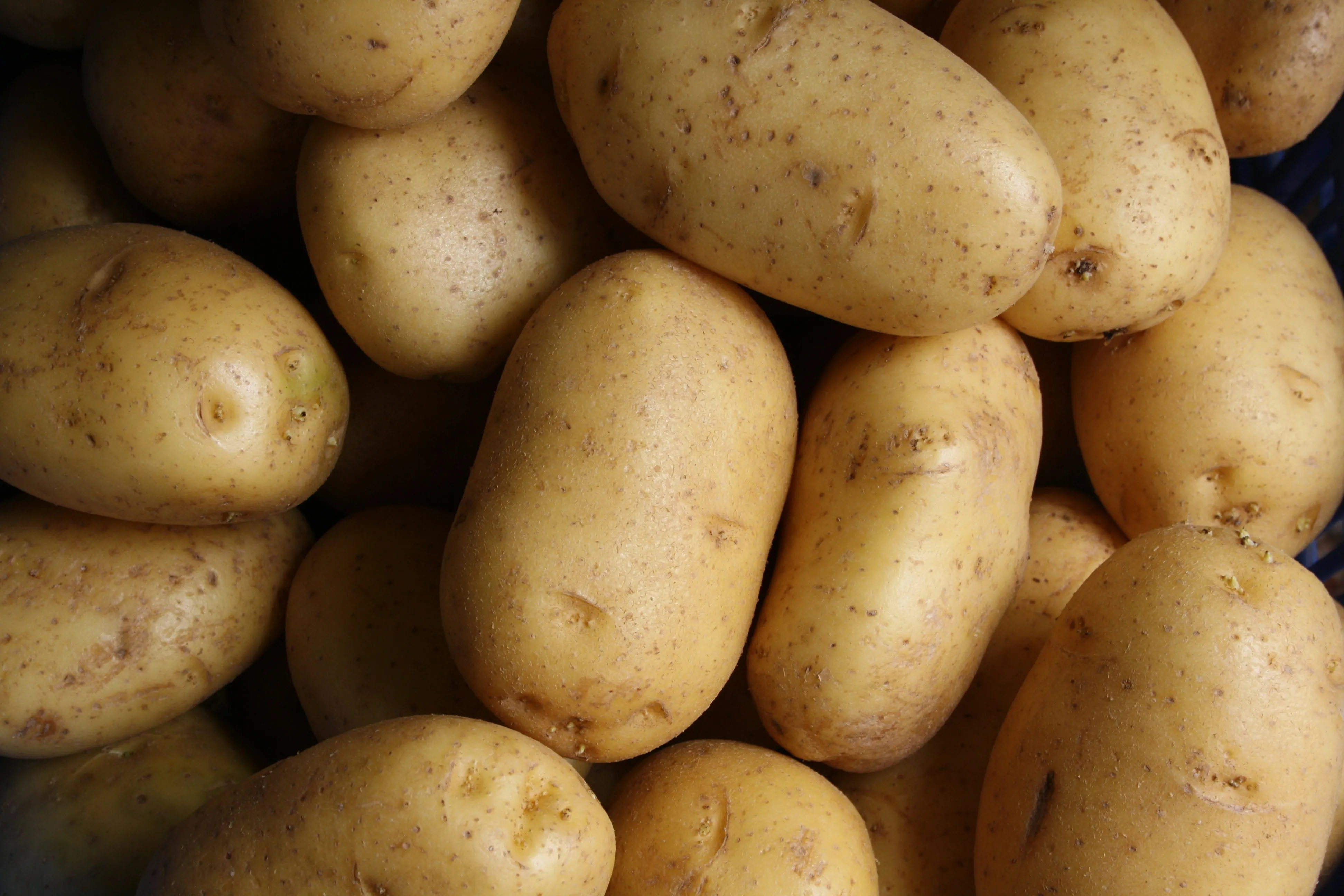 Обязательно ли нужен холодильник: где хранить картошку, чтобы не портилась