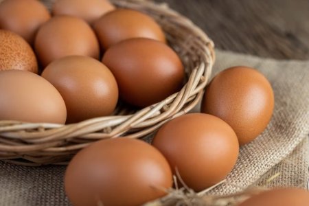 Врач Кашух сообщила, сколько куриных яиц можно съедать в день
