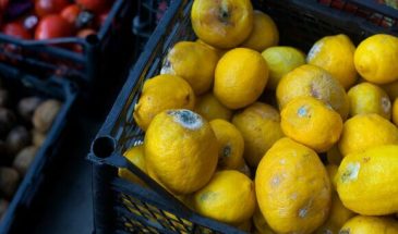 Отрава для организма: эксперты рассказали, почему нельзя брать уцененные фрукты и овощи