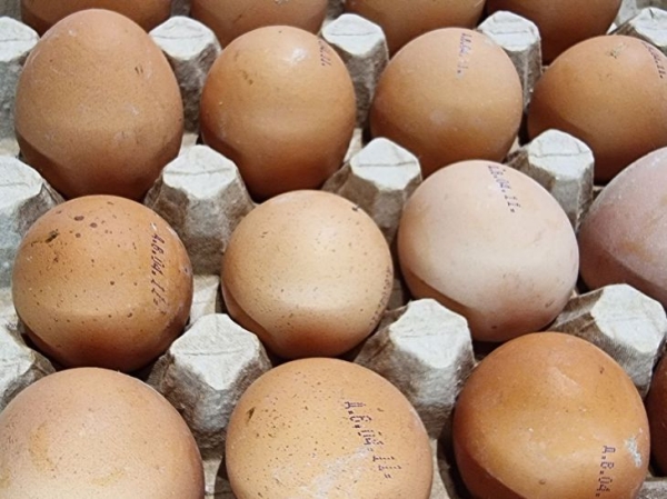 Из каких яиц готовить домашний майонез, чтобы он был желтым: совет опытных кулинаров