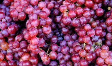 Диетолог Мухина назвала самую опасную для пожилых ягоду