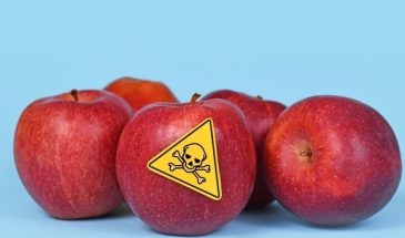 Роскачество сообщило, в каких продуктах есть опасные микотоксины