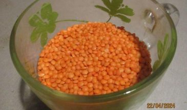 Рецепт: Постный сыр — из красной чечевицы