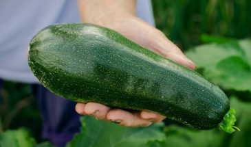 Врач назвала группы людей, которым противопоказаны цукини