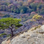 Демерджи — Кузнец-гора