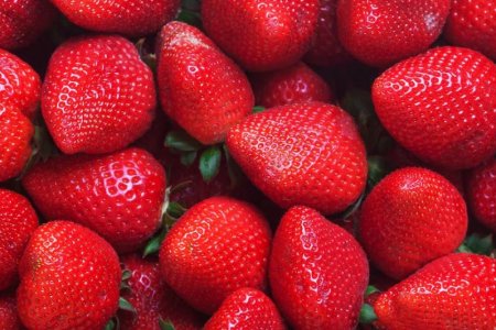 Врач-диетолог Иафелис назвал две ягоды для здоровья сердца и мозга людей после 40 лет