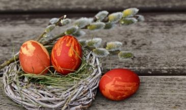 Как проверить, свежее яйцо или нет: полезные советы, чтобы избежать неприятных сюрпризов