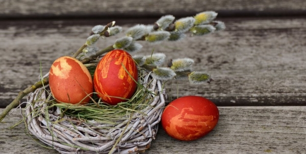 Как проверить, свежее яйцо или нет: полезные советы, чтобы избежать неприятных сюрпризов