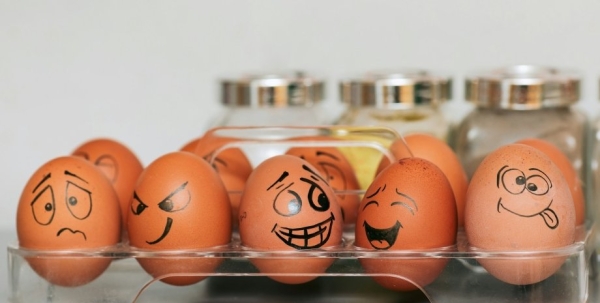 Как сварить яйца в дороге: два совета, как обойтись без плиты