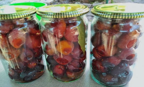 Маринованные сливы на зиму