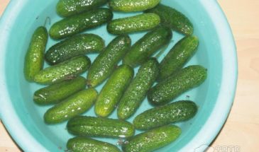 Рецепт: Соленые огурцы в горчичной заливке — Пикантная закуска