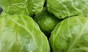Запеканка из листьев капусты с мясом: простой рецепт удивит своим вкусом