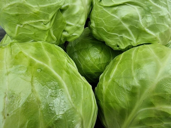 Запеканка из листьев капусты с мясом: простой рецепт удивит своим вкусом