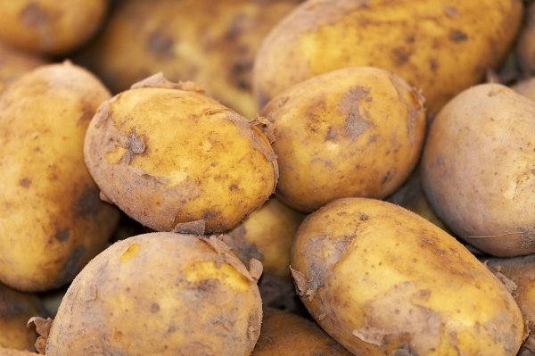 Экономия времени, сил и нервов: как быстро и легко помыть картошку